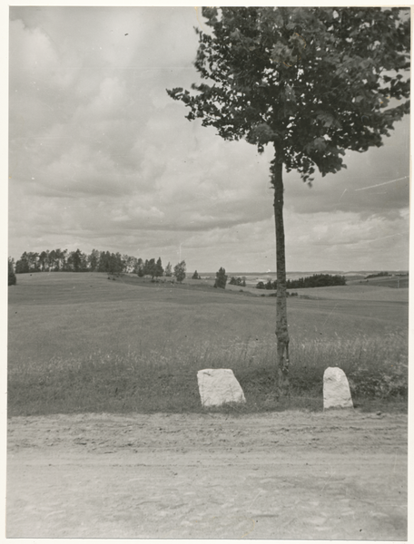 Nördliches Ostpreußen wo?, Straße, Landschaft