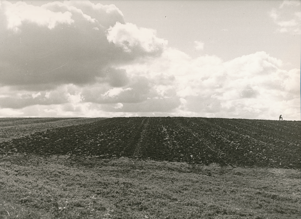 Nördliches Ostpreußen wo?, Gepflügtes Feld, Landschaft ohne Baum und Strauch