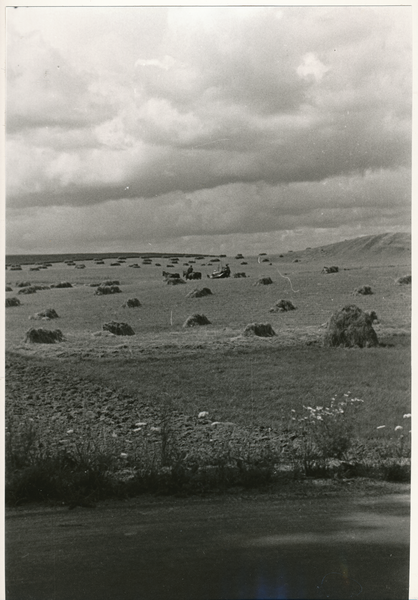 Nördliches Ostpreußen wo?, Abgeerntetes Kornfeld, Landschaft mit Getreidehocken