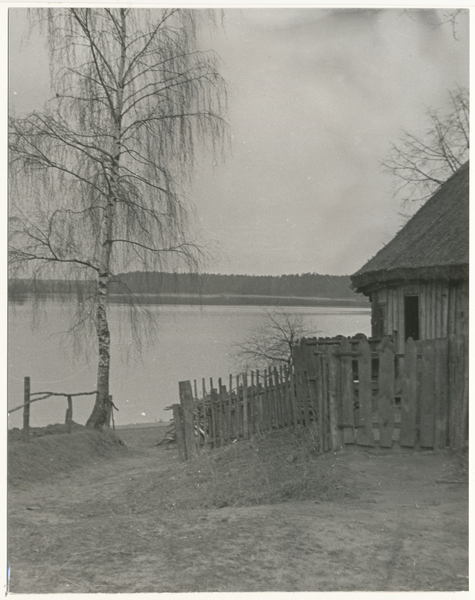 Nikolaiken Kr. Sensburg ?, Gehöfte am See bei Nikolaiken