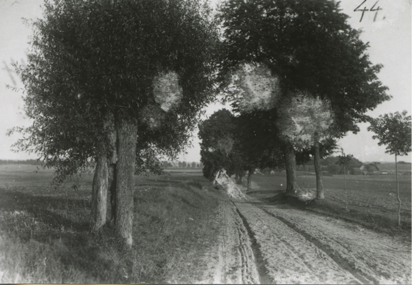 Bartenstein, Landweg an der Plenser Schule