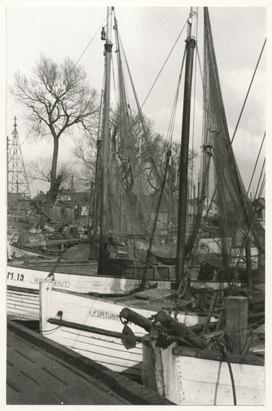 Elchniederung (Kreis), Fischerboote Windsbraut und Fortuna im Hafen am Dorf