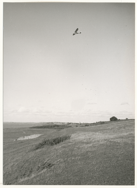 Rossitten Kr. Samland, Ortsansicht vom Segelflugplatz, Segelflugzeug in der Luft