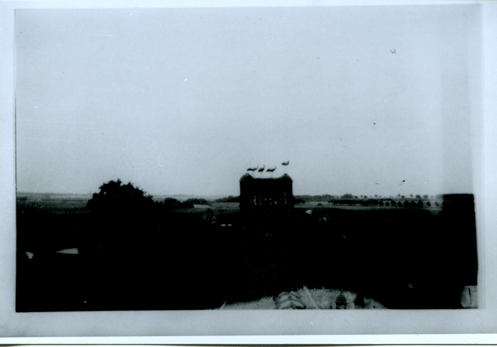 Falkenau, Ev. Kirche, Blick aus dem Kirchturm auf das Kirchdach mit dem Storchennest