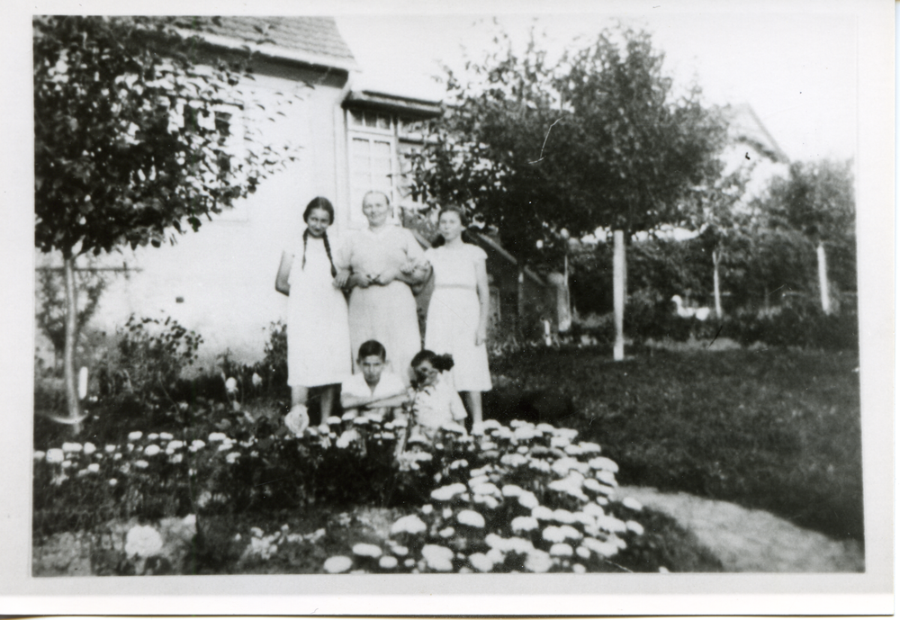 Böttchersdorf, Garten des Hauses E. Nieswand, rechts Nachbargrundstück Liedtke