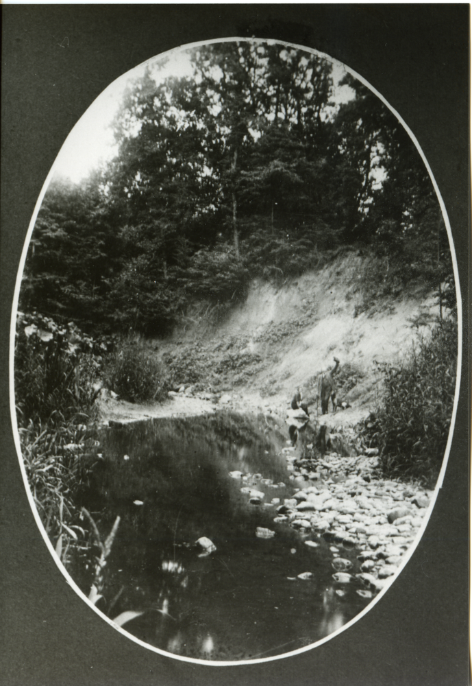 Gallingen Kr. Bartenstein, Steilufer mit Abbruchkante am Dost im Gallinger Wald