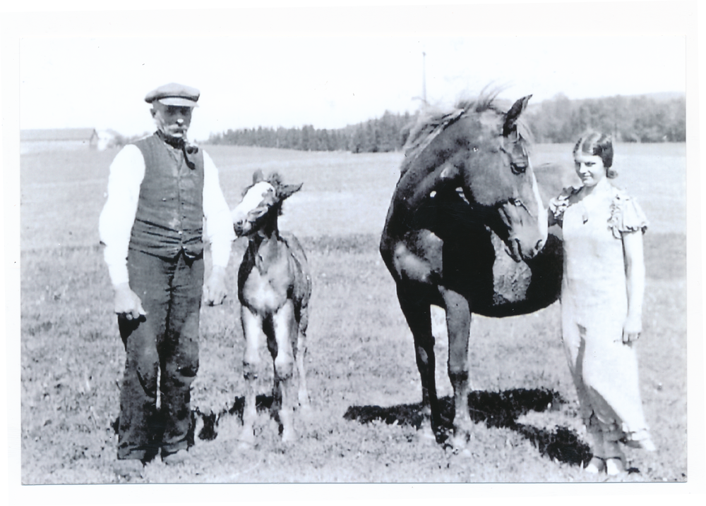 Kanditten, Bauernhof Hermann Wohlgefahrt mit Fohlen, Fohlenstute und Tochter seiner Schwester, Hulda Wohlgefahrt