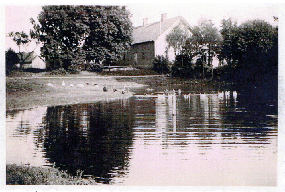 Ihlnicken, Groß Hölger-Hof am Dorfteich