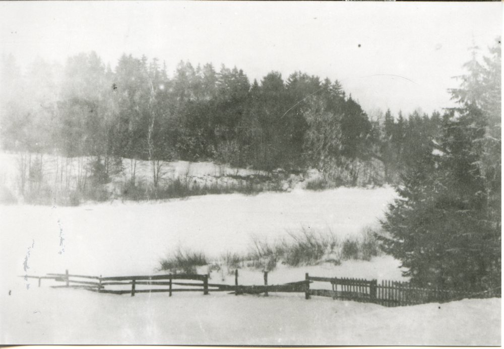 Pohiebels Kr. Bartenstein, Alle-Steilufer gegenüber Pohiebels in Richtung SO (Winteraufnahme)