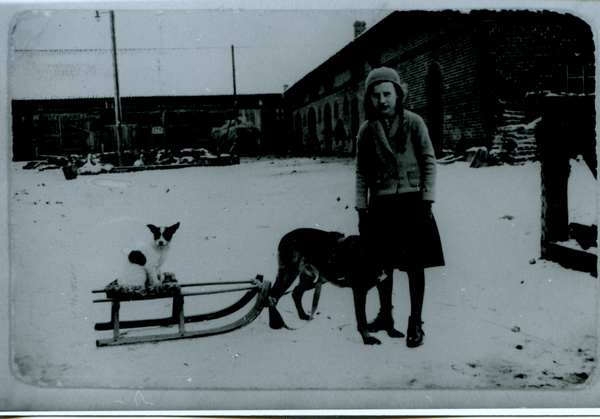 Rosenort Kr. Bartenstein, Hof Gustav Mäkelburg, Charlotte M. mit Hunden und Schlitten