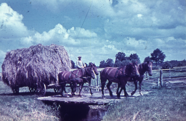 Klein Guja, Erntewagen mit sowjetischem Kriegsgefangenen