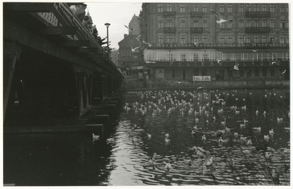 Königsberg, Große Schlossteichstraße, Schlossteichbrücke