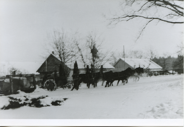 Dietrichswalde Kr. Bartenstein, Gut, Winterlicher Transport eines großen Findlings mit Trecker und acht Pferden...