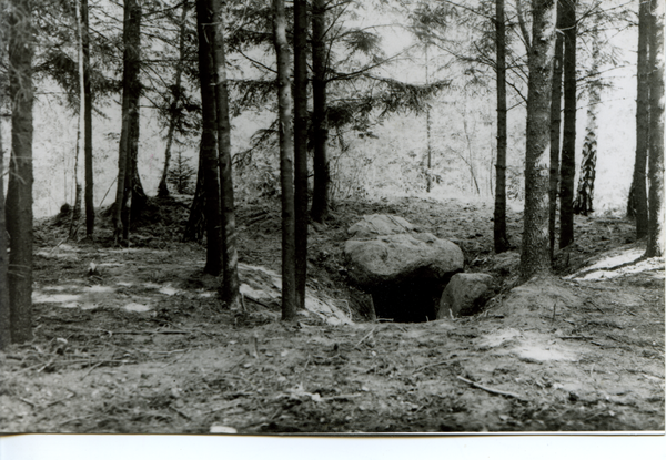 Dietrichswalde Kr. Bartenstein, Gut, "Hünengrab" im Dietrichswalder Wald nahe beim Dost-Fluss