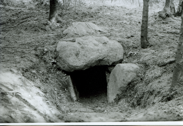 Dietrichswalde Kr. Bartenstein, Gut, "Hünengrab" im Dietrichswalder Wald nahe beim Dost-Fluss