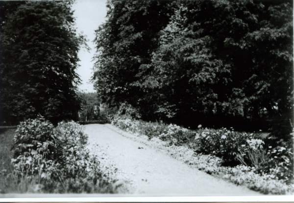 Dietrichswalde Kr. Bartenstein, Gut, Weg im Bereich der Hofanlage