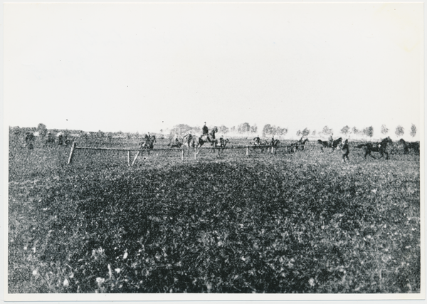 Groß Trakehnen, Reitjagd, Das Jagdfeld am Koppelrick