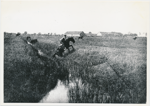 Groß Trakehnen, Reitjagd, Nachzügler am Hauptgraben