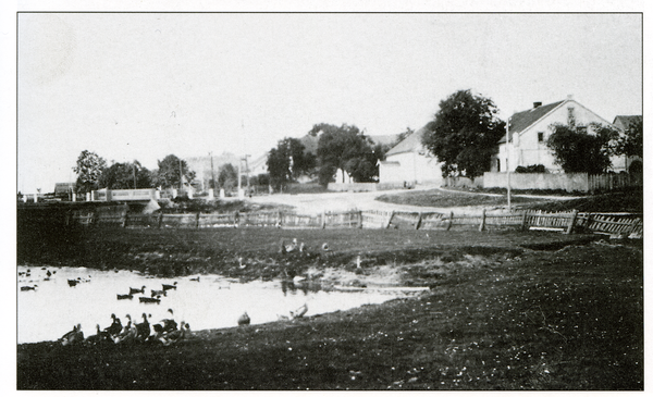 Löwenstein, Ortsansicht, Dorfteich und die Höfe Leu Briese und Karl Behrendt