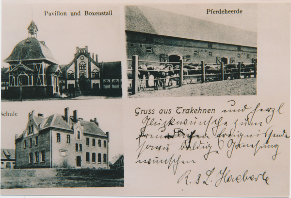 Groß Trakehnen, 3 Ansichten, Pavillon und Boxenstall, Schule, Pferdeherde