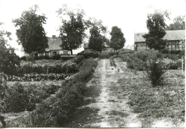 Pohiebels Kr. Bartenstein, Gut, Blick vom Gemüsegarten auf die Schmiede und das Wohnhaus Porsch und Schulz