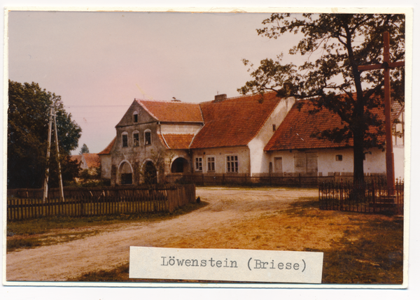 Löwenstein (Lwowiec), ehemals  Gasthaus Briese ??