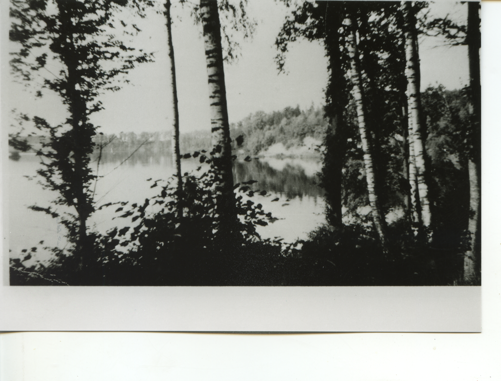 Heyde Kr. Bartenstein, Alle-Stausee mit Steilufer am "Schwalbenberg" und Heyder Wald