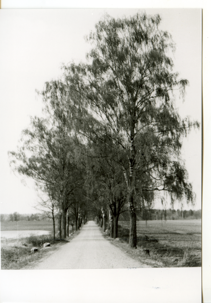 Heyde Kr. Bartenstein (Костюковка), Weg (Straße) nach Friedland (Правдинск)