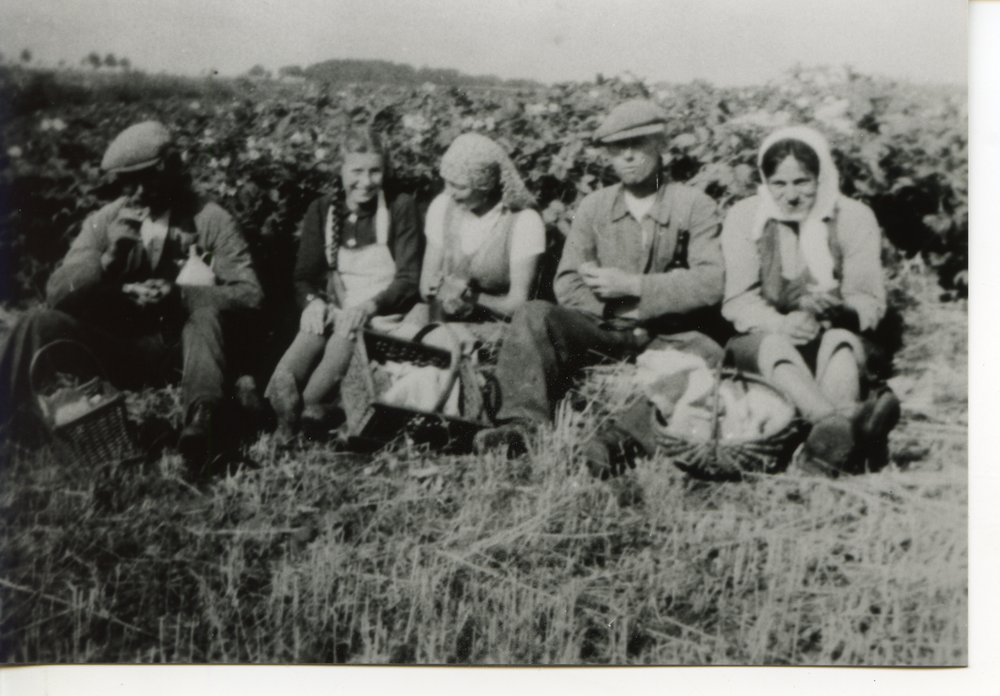 Lomp Kr. Bartenstein, Vesper auf dem Feld