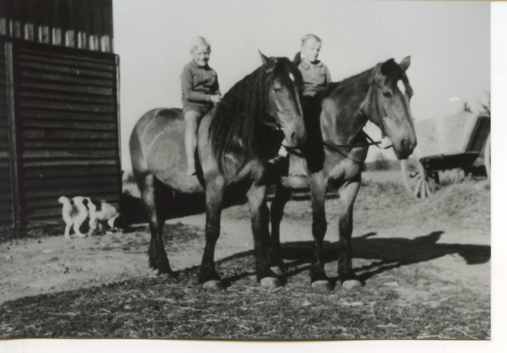 Redden Kr. Bartenstein, Gerhard und Fritz Biermann zu Pferde