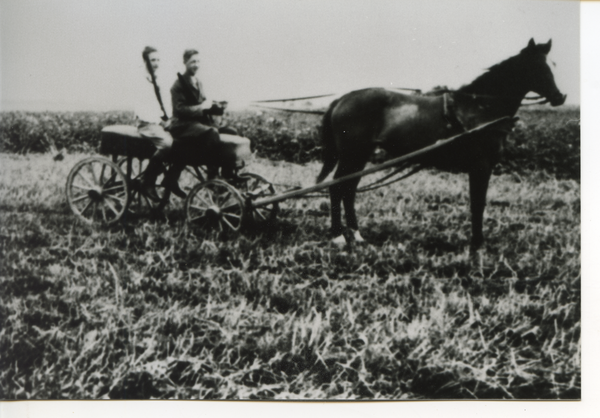Polkitten, Mit dem Reitwagen unterwegs
