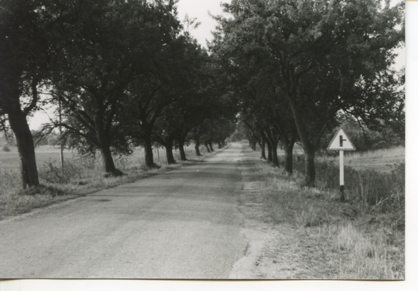 Redden Kr. Bartenstein (Пограничное ),  Straße von Domnau (Домново) nach Schönbruch (Широкое, Szczurkowo)