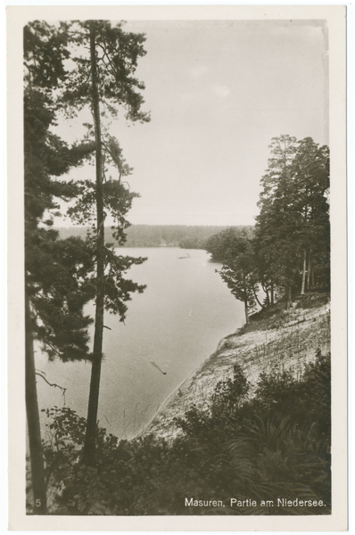 Niedersee, Uferlandschaft