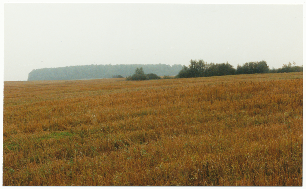 Bindemark (Гремячье), Standort ehem. Hof Schneider, dahinter Skrobliener Wäldchen