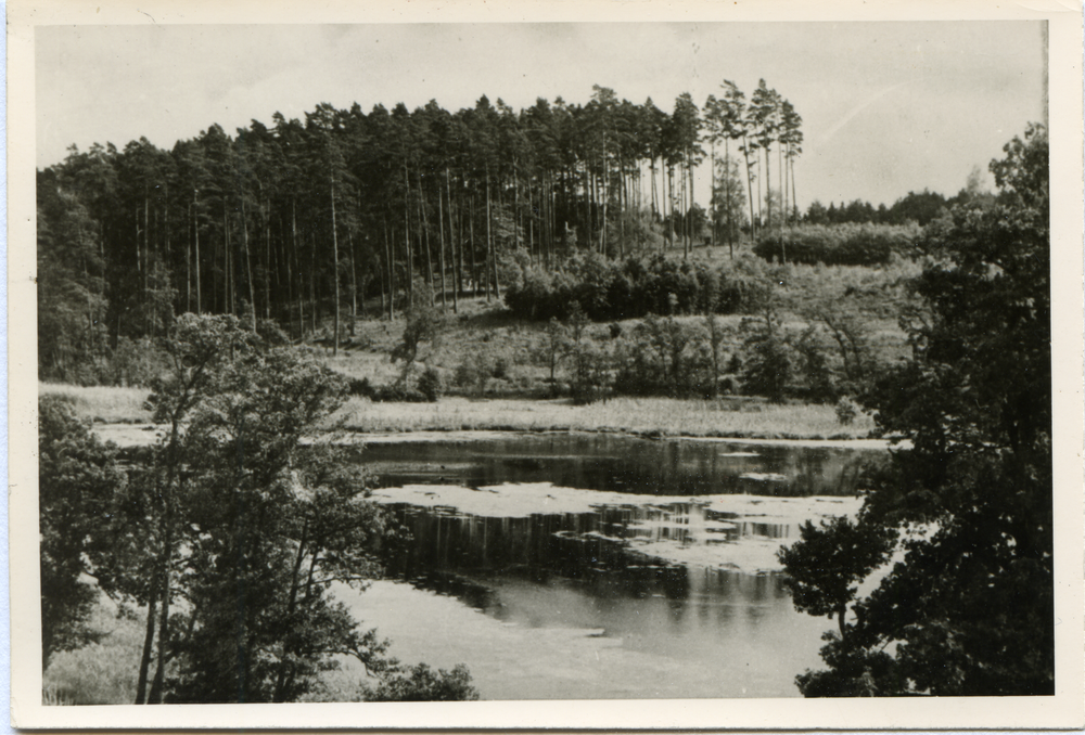 Faltianker See, Blick über den See