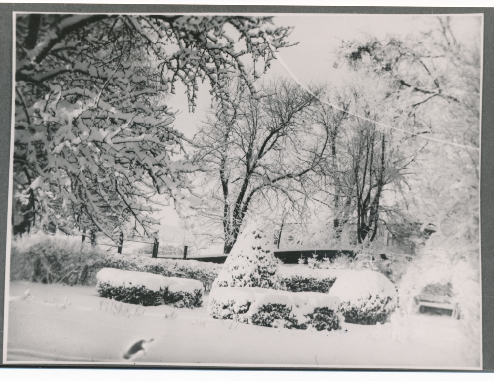 Gallingen Kr. Bartenstein, verschneiter Kantorgarten, Blick NW