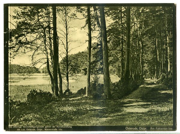 Faltianker See, Weg am See