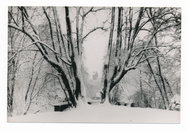 Gallingen Kr. Bartenstein, Blick vom Schloßhof über den verschneiten Park zur Kirche