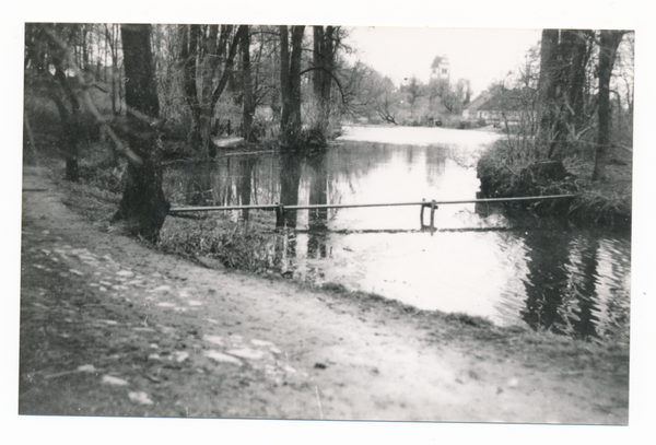 Gallingen Kr. Bartenstein, Der Mühlenteich im Frühling