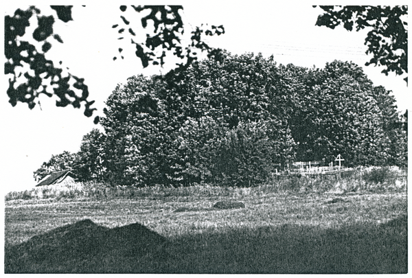 Fritzenau (Порховское), Friedhofshügel von der Straße nach Wilhelmsberg, links Schuppen vom Abbau Hofer