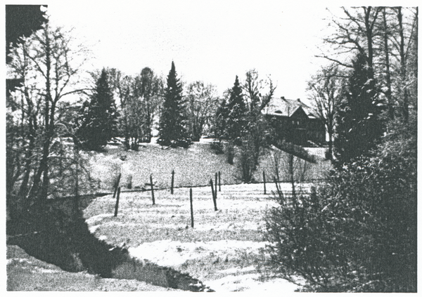 Grimmen, Gut, Gutshaus vom Eiskeller aus