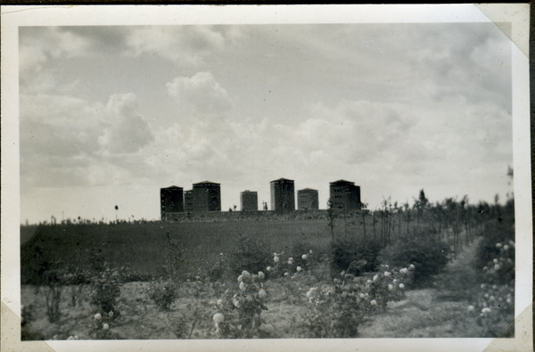 Hohenstein Kr. Osterode, Blick zum Tannenberg-Denkmal