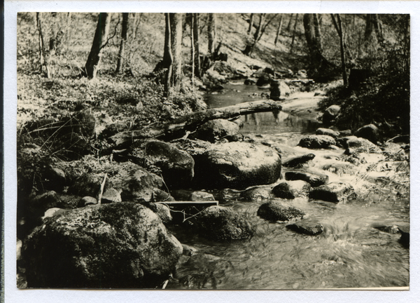 Döhringen, Naturpark mit Döhlaubach