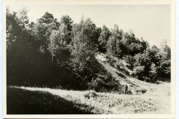 Haasenberg Kr. Osterode, Die Sassenpile, Fliehburg der Preußen oder Germanen