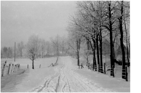 Großguden, Winterlandschaft