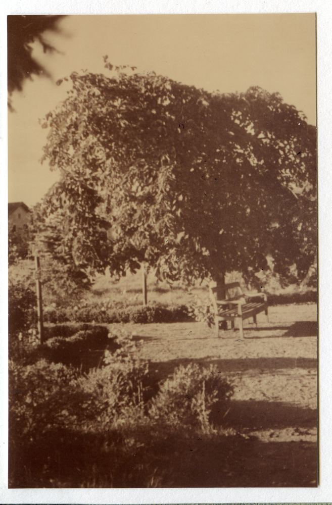 Lindenau Kr. Osterode, Im Gutsgarten