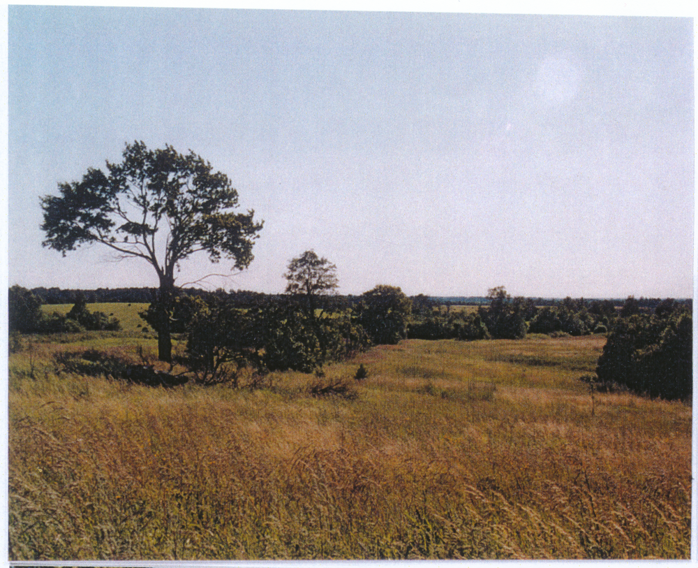 Christiankehmen (Майское), Blick vom Norden Richtung polnisch/russische Grenze