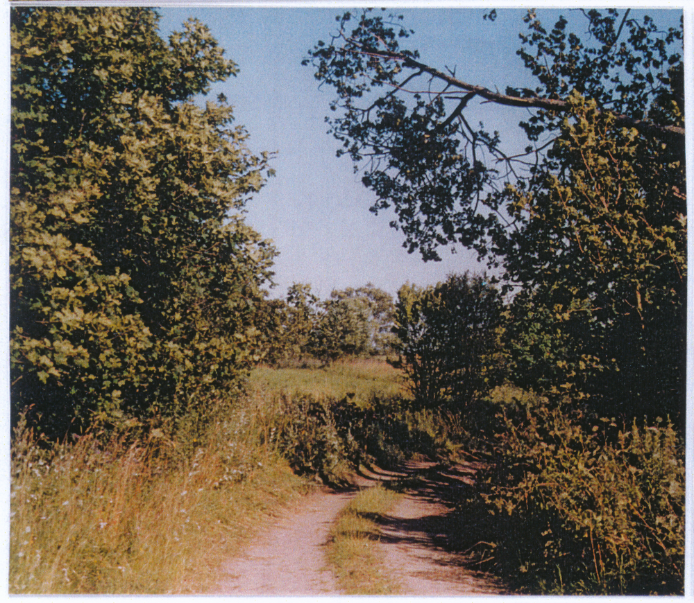 Christiankehmen (Майское), Blick vom Süden