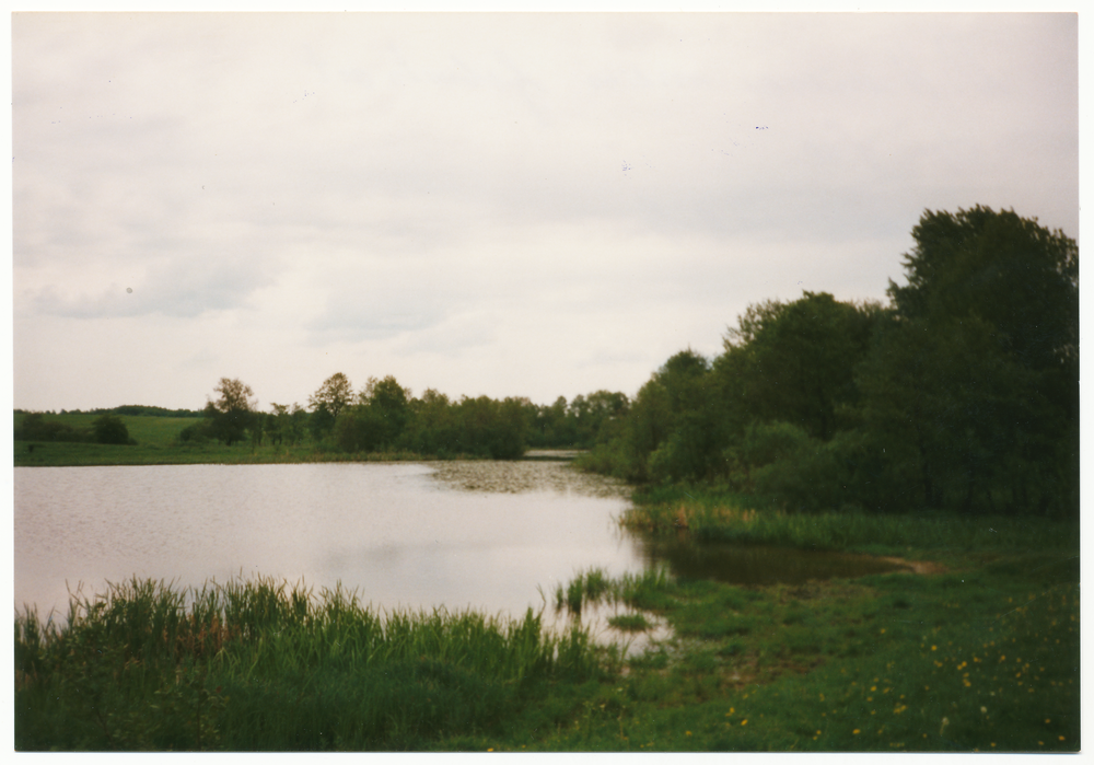 Dittwiese (Набережное), Didwischker See