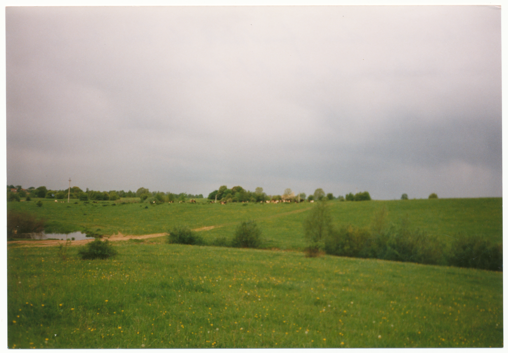 Dittwiese (Набережное), Ehem. Grundstück der Familie Gruber, im Hintergrund Sodehnen